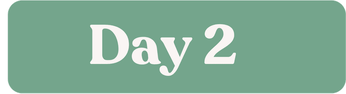 Day 2