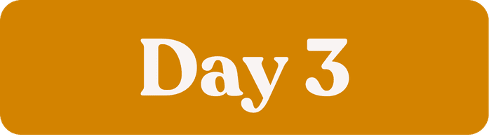 Day 3