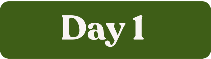 Day 1